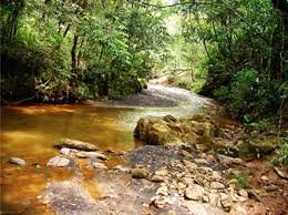 Imagine Viver na Amazônia