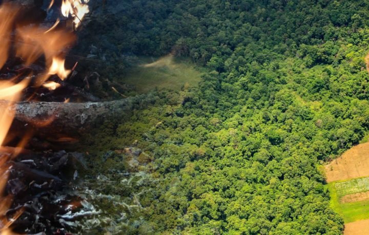 Queimadas na Amazônia em 2019 seguem o rastro do desmatamento