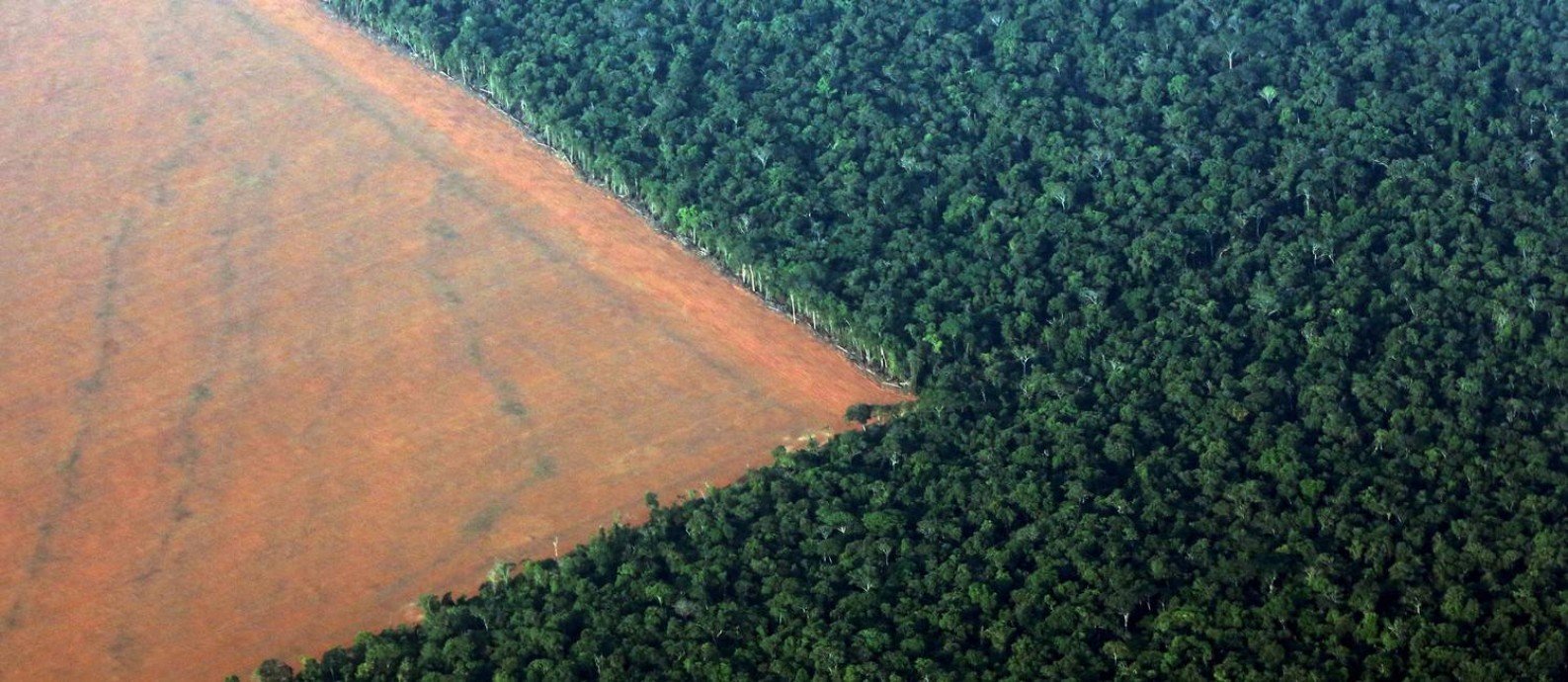 Queimadas na Amazônia em 2019 seguem o rastro do desmatamento