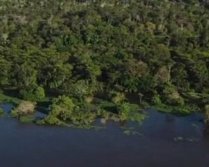 Imagine Viver na Amazônia